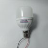 12 Volt DC Bulb Ultra Bright